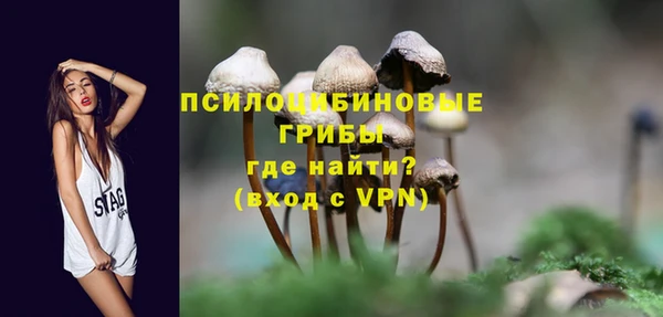 крисы Костерёво
