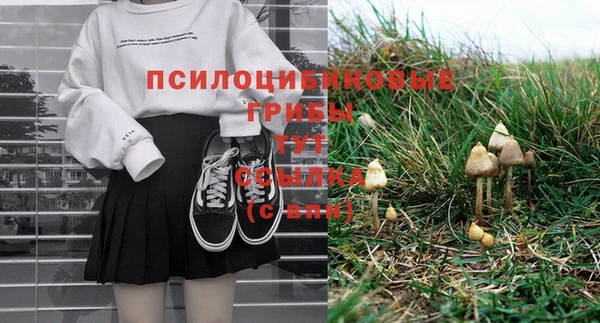 герыч Инта