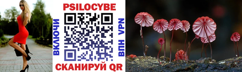 Галлюциногенные грибы MAGIC MUSHROOMS  Купить где  Канаш 